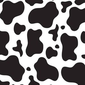 Meet your Posher, Riley